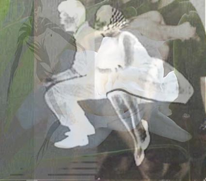 felicita.jpg (27525 byte)